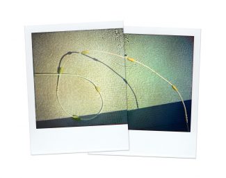 Ivo von Renner - Double Polaroids - Stills
