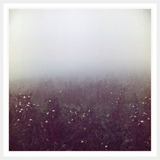 Ivo von Renner - Fog, Rain, Snow and Flowers